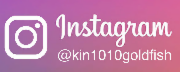 kintoto_instagram_bnr.png